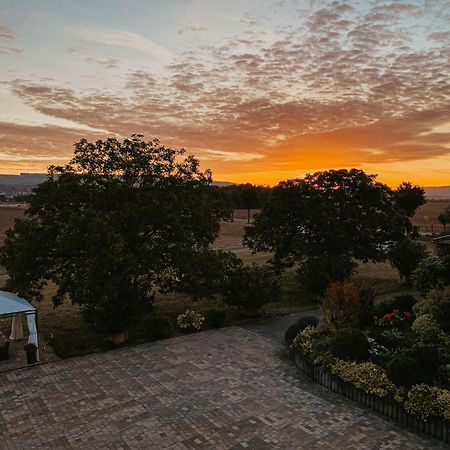 Weingut U. Gaestehaus Vogt-Fehlinger Biebelsheim ภายนอก รูปภาพ