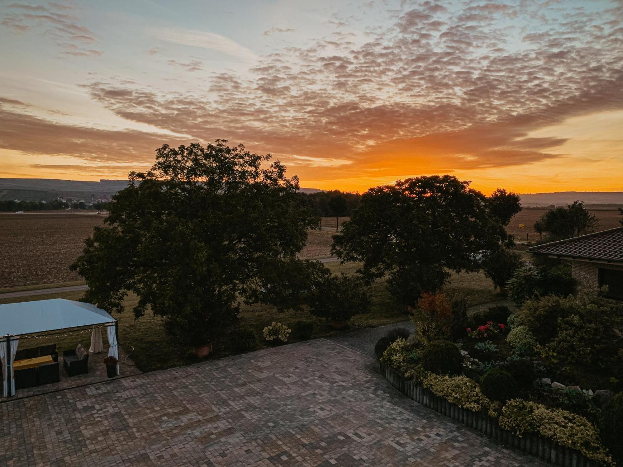 Weingut U. Gaestehaus Vogt-Fehlinger Biebelsheim ภายนอก รูปภาพ